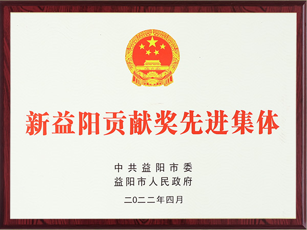 新益陽貢獻獎先進集體2022年