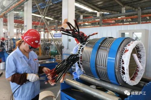 七年化繭成蝶 廬江企業以技術創新開拓國際市場